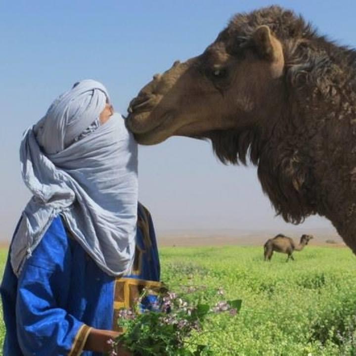 Riad De Reve Zagora Kültér fotó